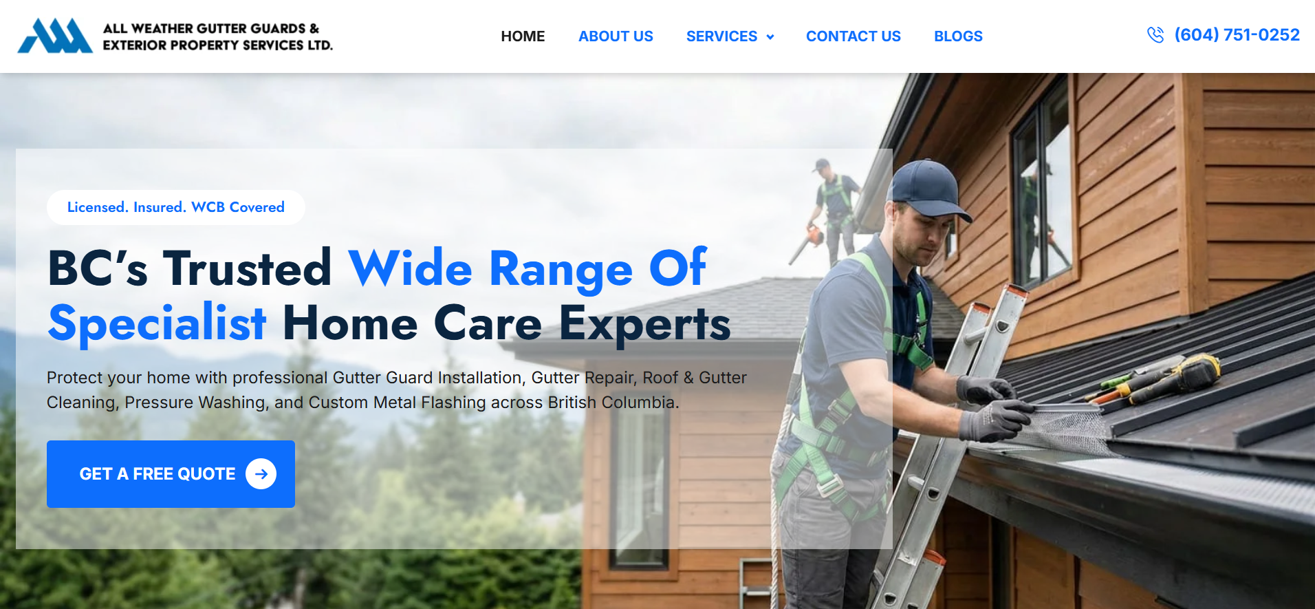 Weather Gutter Guards